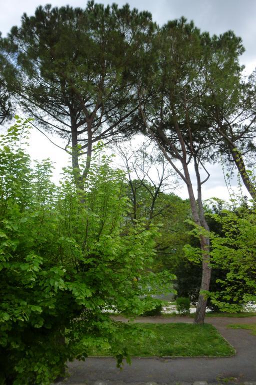 Albergo I Villini Pontassieve Bagian luar foto